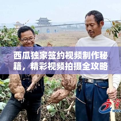 西瓜獨(dú)家簽約視頻制作秘籍，精彩視頻拍攝全攻略
