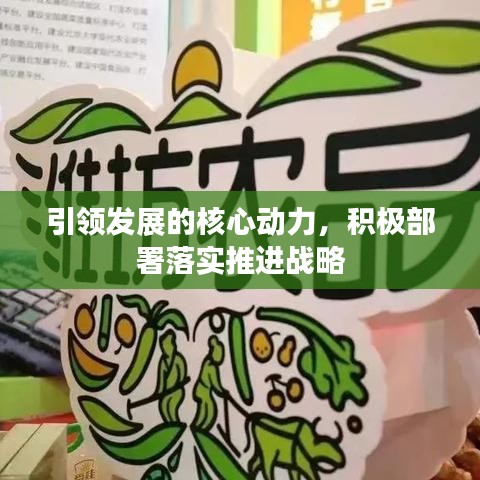 引領(lǐng)發(fā)展的核心動(dòng)力，積極部署落實(shí)推進(jìn)戰(zhàn)略