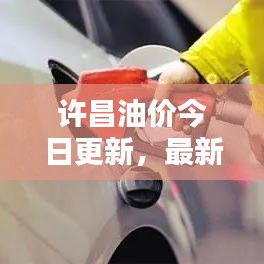 許昌油價今日更新，最新油價信息一覽
