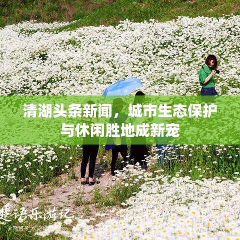 清湖頭條新聞，城市生態(tài)保護(hù)與休閑勝地成新寵