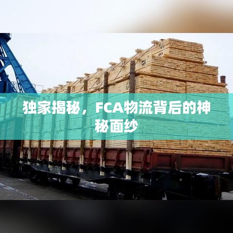 獨(dú)家揭秘，F(xiàn)CA物流背后的神秘面紗