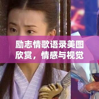 勵志情歌語錄美圖欣賞，情感與視覺的雙重享受