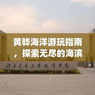 黃驊海洋游玩指南，探索無盡的海濱魅力！