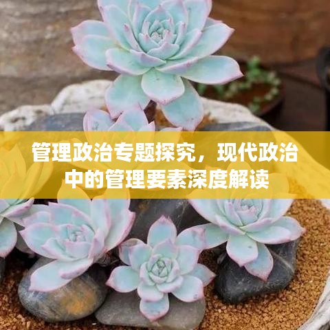 管理政治專題探究，現(xiàn)代政治中的管理要素深度解讀