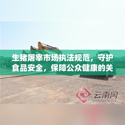 生豬屠宰市場執(zhí)法規(guī)范，守護(hù)食品安全，保障公眾健康的關(guān)鍵環(huán)節(jié)