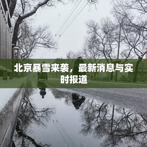 北京暴雪來襲，最新消息與實時報道