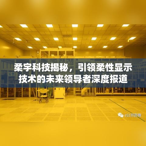 輕徙鳥舉 第3頁