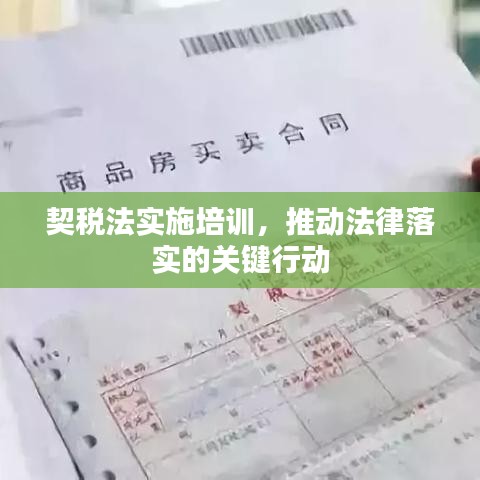 契稅法實(shí)施培訓(xùn)，推動(dòng)法律落實(shí)的關(guān)鍵行動(dòng)
