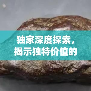 獨(dú)家深度探索，揭示獨(dú)特價值的奧秘之旅