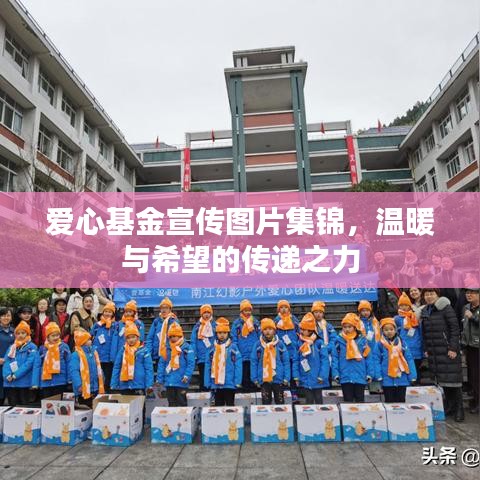 愛心基金宣傳圖片集錦，溫暖與希望的傳遞之力
