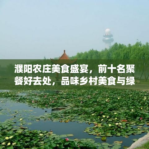 濮陽(yáng)農(nóng)莊美食盛宴，前十名聚餐好去處，品味鄉(xiāng)村美食與綠意盎然之旅
