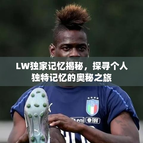 LW獨(dú)家記憶揭秘，探尋個(gè)人獨(dú)特記憶的奧秘之旅