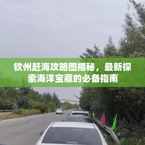 欽州趕海攻略圖揭秘，最新探索海洋寶藏的必備指南