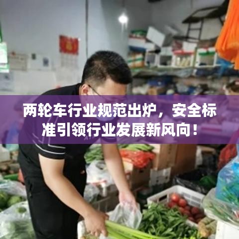 兩輪車行業(yè)規(guī)范出爐，安全標(biāo)準(zhǔn)引領(lǐng)行業(yè)發(fā)展新風(fēng)向！