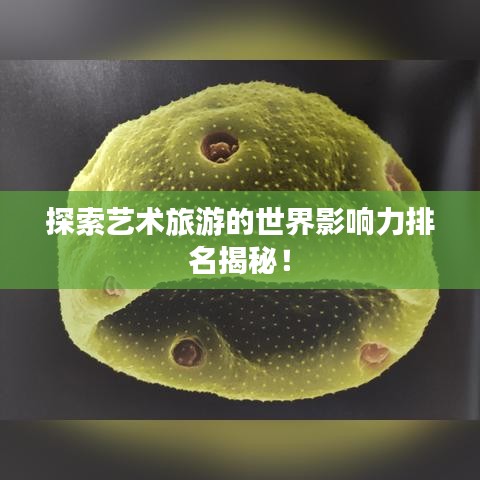 探索藝術(shù)旅游的世界影響力排名揭秘！
