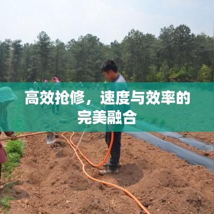 高效搶修，速度與效率的完美融合