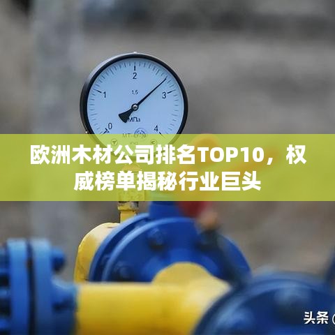歐洲木材公司排名TOP10，權(quán)威榜單揭秘行業(yè)巨頭