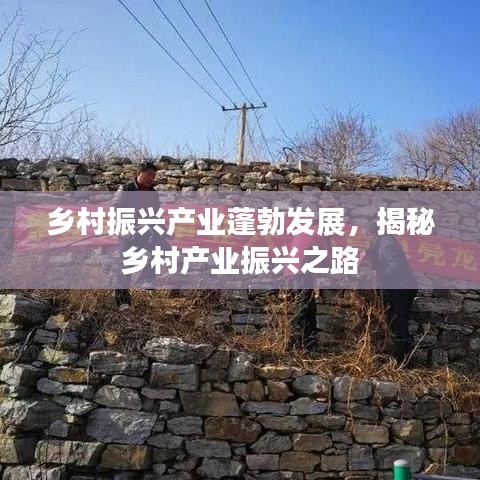鄉(xiāng)村振興產(chǎn)業(yè)蓬勃發(fā)展，揭秘鄉(xiāng)村產(chǎn)業(yè)振興之路
