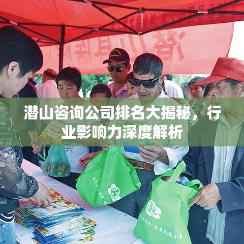 潛山咨詢公司排名大揭秘，行業(yè)影響力深度解析