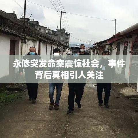 永修突發(fā)命案震驚社會(huì)，事件背后真相引人關(guān)注