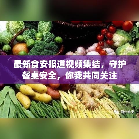 最新食安報道視頻集結(jié)，守護餐桌安全，你我共同關(guān)注