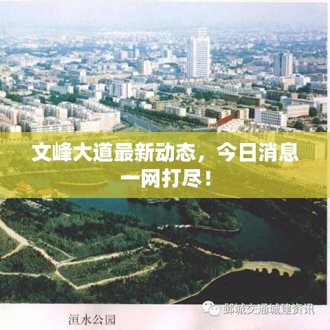 文峰大道最新動(dòng)態(tài)，今日消息一網(wǎng)打盡！