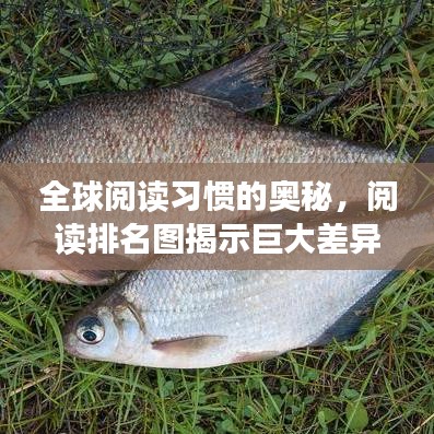 全球閱讀習慣的奧秘，閱讀排名圖揭示巨大差異！