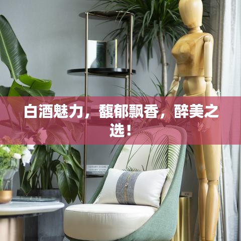 白酒魅力，馥郁飄香，醉美之選！