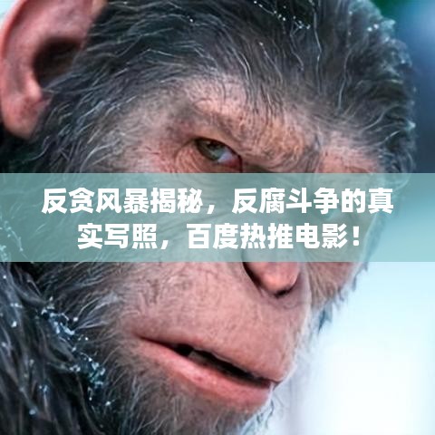 反貪風(fēng)暴揭秘，反腐斗爭(zhēng)的真實(shí)寫照，百度熱推電影！