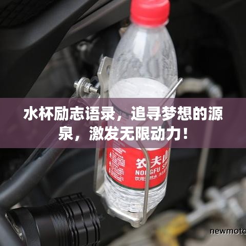 水杯勵志語錄，追尋夢想的源泉，激發(fā)無限動力！