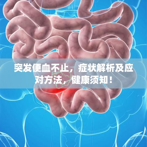 突發(fā)便血不止，癥狀解析及應(yīng)對方法，健康須知！
