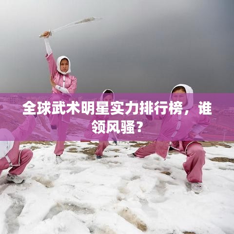 全球武術(shù)明星實力排行榜，誰領(lǐng)風騷？