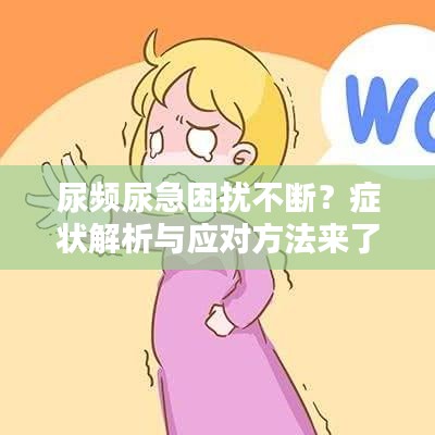 尿頻尿急困擾不斷？癥狀解析與應(yīng)對(duì)方法來(lái)了！
