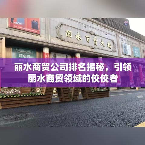 麗水商貿(mào)公司排名揭秘，引領(lǐng)麗水商貿(mào)領(lǐng)域的佼佼者
