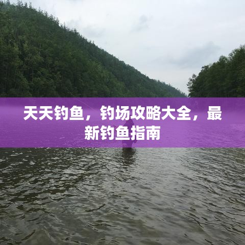 天天釣魚，釣場攻略大全，最新釣魚指南