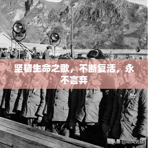 堅韌生命之歌，不斷復活，永不言棄