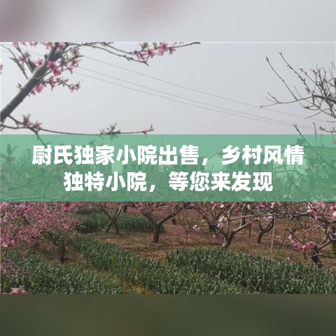 尉氏獨家小院出售，鄉(xiāng)村風(fēng)情獨特小院，等您來發(fā)現(xiàn)