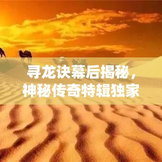 尋龍?jiān)E幕后揭秘，神秘傳奇特輯獨(dú)家呈現(xiàn)