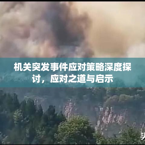 機關(guān)突發(fā)事件應(yīng)對策略深度探討，應(yīng)對之道與啟示