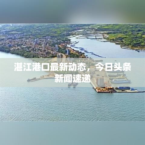湛江港口最新動(dòng)態(tài)，今日頭條新聞速遞
