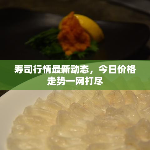 壽司行情最新動態(tài)，今日價格走勢一網打盡