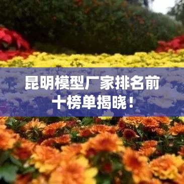 昆明模型廠家排名前十榜單揭曉！
