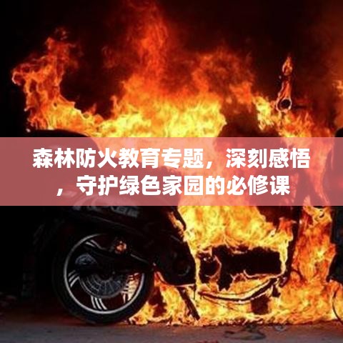 森林防火教育專題，深刻感悟，守護綠色家園的必修課