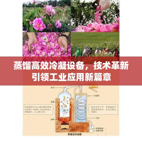 蒸餾高效冷凝設(shè)備，技術(shù)革新引領(lǐng)工業(yè)應(yīng)用新篇章