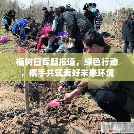 植樹日專題報道，綠色行動，攜手共筑美好未來環(huán)境
