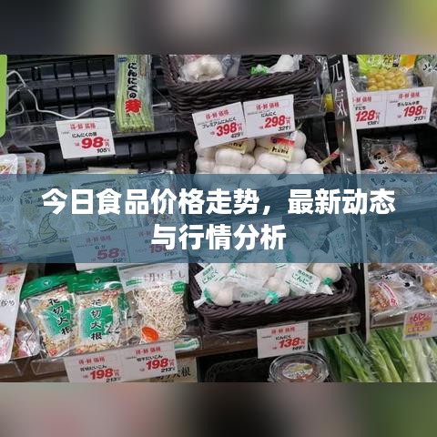 今日食品價(jià)格走勢(shì)，最新動(dòng)態(tài)與行情分析