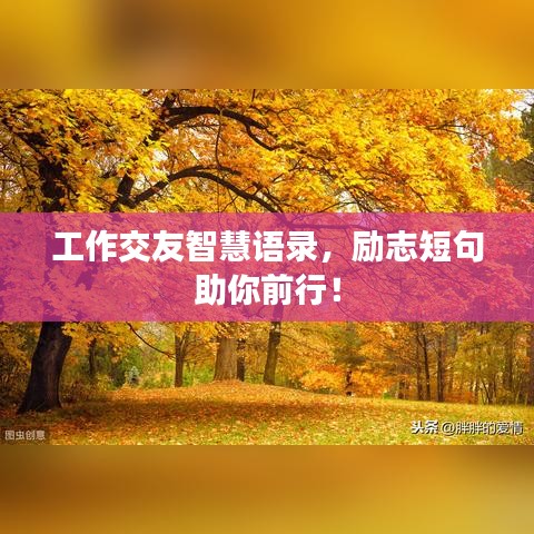工作交友智慧語(yǔ)錄，勵(lì)志短句助你前行！