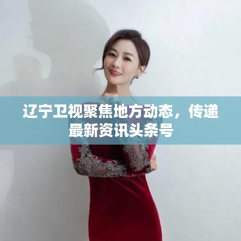 遼寧衛(wèi)視聚焦地方動(dòng)態(tài)，傳遞最新資訊頭條號(hào)
