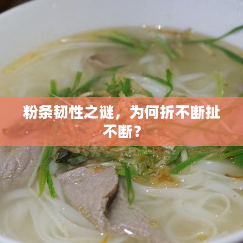 粉條韌性之謎，為何折不斷扯不斷？
