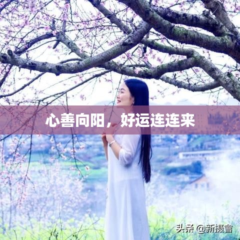 心善向陽(yáng)，好運(yùn)連連來